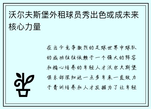 沃尔夫斯堡外租球员秀出色或成未来核心力量